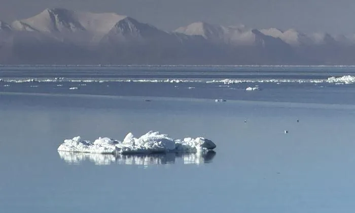 Svalbard Kvitebjørn 2025